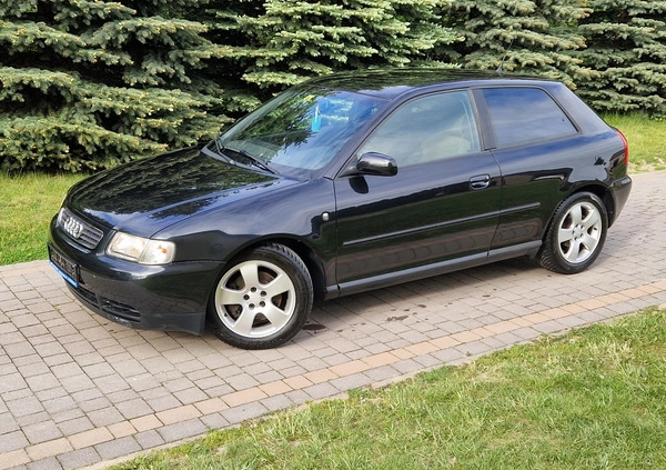 Audi Inny cena 10900 przebieg: 194425, rok produkcji 1999 z Ziębice małe 137